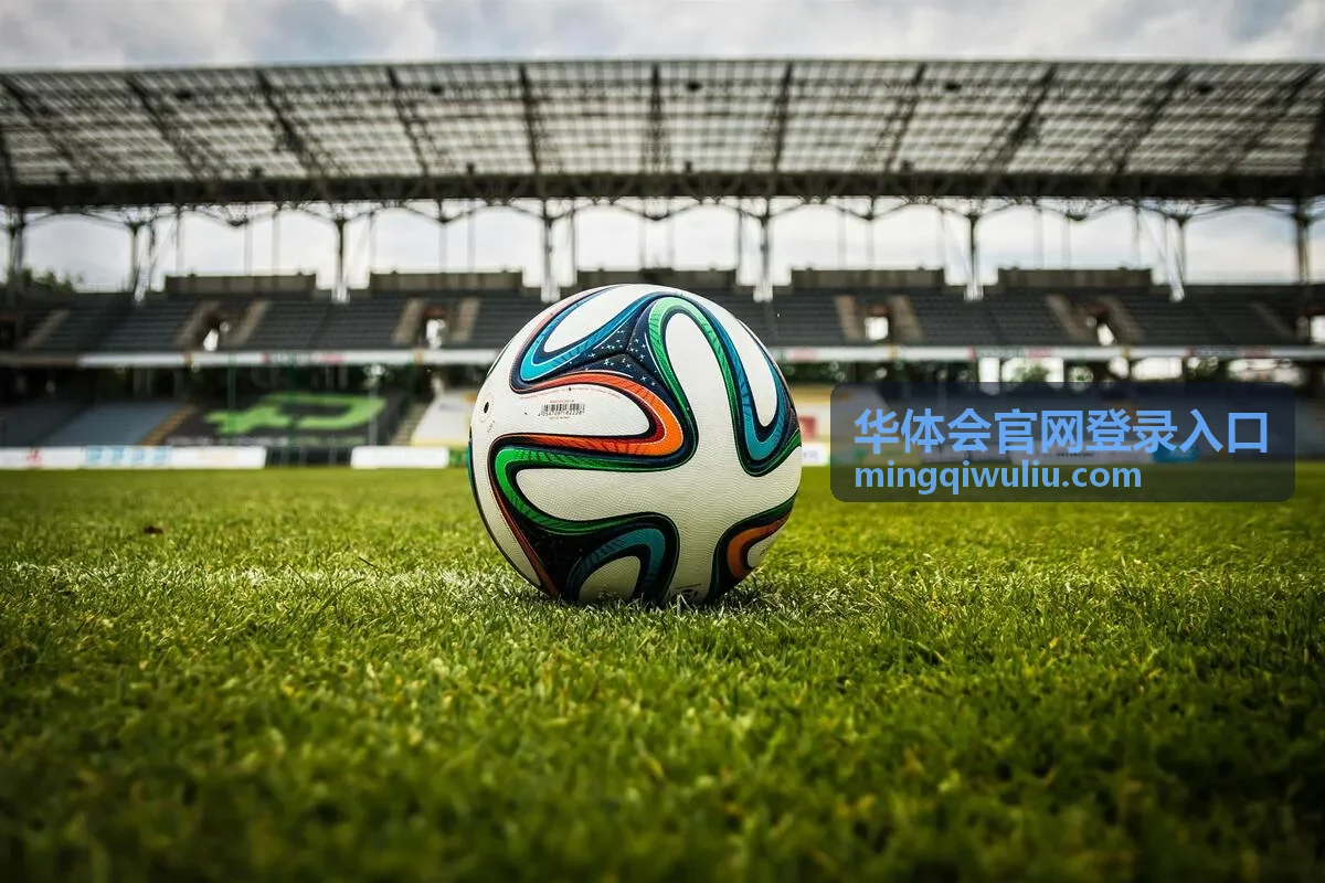 华体会官网登录入口身份验证环节的示意画面